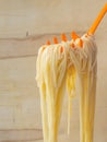 Boiled pasta spaghetti. Royalty Free Stock Photo