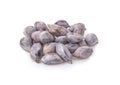 Boiled peanuts seeds isolated white background Royalty Free Stock Photo