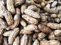 Boiled peanuts street food in local market Thailand.Background peanut Royalty Free Stock Photo