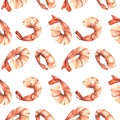 Boiled peeled shrimp with a tail. Watercolor illustration. Seamless pattern on a white background from the SHRIMP Royalty Free Stock Photo