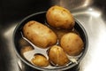 Boiled potatoes Royalty Free Stock Photo