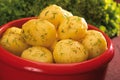 Boiled potatoes Royalty Free Stock Photo