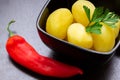 Boiled potatoes with chili peppers and tomatoes on a dark background Royalty Free Stock Photo