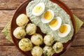 Boiled potatoes, eggs and Frankfurt Green Sauce contains 7 herbs close-up in a plate. horizontal top view Royalty Free Stock Photo