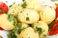 Boiled potatoes with oil and chopped dill leaves and parsley leaves in white porcelain plate Royalty Free Stock Photo