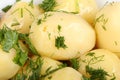 Boiled potatoes with oil and chopped dill leaves and parsley leaves in white porcelain plate Royalty Free Stock Photo