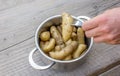 Boiled potatoes Royalty Free Stock Photo