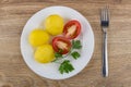 Boiled potatoes with tomato and parsley in plate and fork Royalty Free Stock Photo