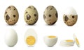 Boiled quail egg eggs isolated on white background. Textured Whole, Cracked Broken, half peeled, Peeled Boiled Egg, Hard-Boiled Royalty Free Stock Photo