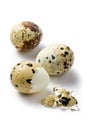 Boiled quail eggs