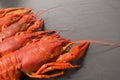 Boiled red crawfish ready to eat. Beer snack. Crayfish to beer. Red boiled crayfish on stone slate dark background. Royalty Free Stock Photo