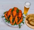 Boiled red crawfish on a white plate with green fennel on a white wooden background.