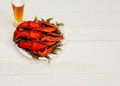 Boiled red crawfish on a white plate with green fennel on a wooden background.