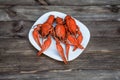 Boiled red crawfish on a white plate with green fennel on a wooden background.