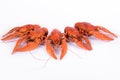 Boiled red crawfishes Royalty Free Stock Photo