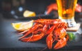 Boiled red crayfish or crawfish with a beer and herbs Royalty Free Stock Photo