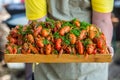 Boiled red crayfish or crawfish with herbs. Royalty Free Stock Photo