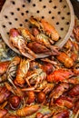 Boiled red crayfish or crawfish with herbs. Royalty Free Stock Photo