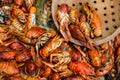 Boiled red crayfish or crawfish with herbs. Royalty Free Stock Photo