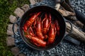 Boiled red crayfish simmering in pot over open fire