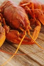 Boiled red crayfish on a wooden table surface. Snack for beer Royalty Free Stock Photo