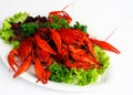 Boiled river lobsters