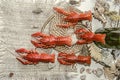 Boiled salted red crayfish with bottle of beer on a canvas with seashells pebbles