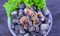 Boiled Scallops with Salad Seafood is high in iron, nourishing blood, low in calories, helping to lose weight and keeping healthy