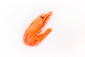 Boiled seafood fresh shrimp on white background isolated, close-up Royalty Free Stock Photo
