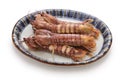 Boiled Shako  mantis shrimp Royalty Free Stock Photo