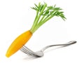 Boiled shaped Carrot on a Fork - White Background - Isolated Royalty Free Stock Photo