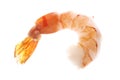 Boiled shrimp Royalty Free Stock Photo