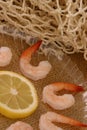 Boiled Shrimp Royalty Free Stock Photo