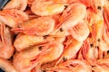 Boiled shrimp abstract background