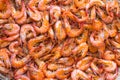 Boiled Shrimp