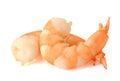 Boiled shrimp Royalty Free Stock Photo