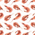 Boiled shrimp unpeeled different. Watercolor illustration. Seamless pattern on a white background from the SHRIMP Royalty Free Stock Photo