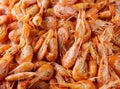 Boiled shrimps background Royalty Free Stock Photo