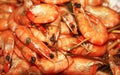 Boiled Shrimps Background ready for eating Royalty Free Stock Photo