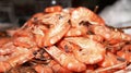 Boiled Shrimps Background ready for eating Royalty Free Stock Photo