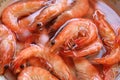 Boiled Shrimps closeup Royalty Free Stock Photo