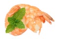 Boiled shrimps and mint Royalty Free Stock Photo