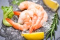 Boiled shrimps prawns on ice frozen at the seafood restaurant - fresh shrimp on dark plate with lemon rosemary ingredients herb Royalty Free Stock Photo