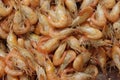 Boiled shrimps and smoked seafood for beer lovers