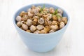 Boiled snails in blue dish Royalty Free Stock Photo