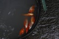 Boiled snappers  in a pot Royalty Free Stock Photo