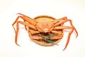 Boiled snow crab on a bamboo colander isolated on a white background