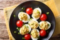 Boiled stuffed eggs with tuna and avocado with tomatoes and green onions close-up on a plate. horizontal top view Royalty Free Stock Photo