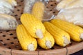 Boiled sweet corn lay on threshing basket