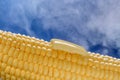 Boiled sweet corn with piece of butter on a blue background with steam. Close-up